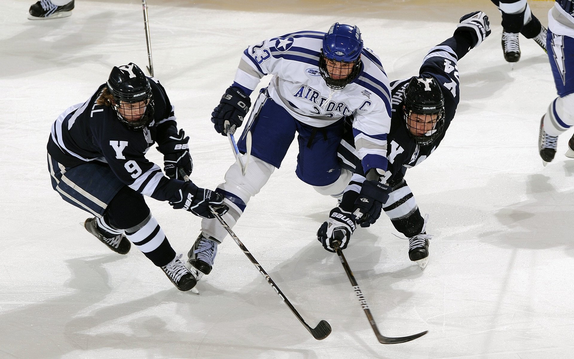 圭亚那水上体育逐渐成特色项目,圭亚那鱼类